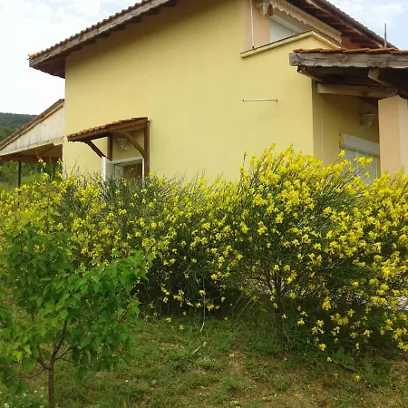 Penzion The House Of The Roses