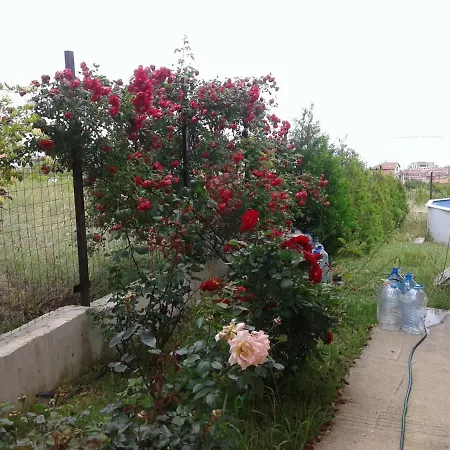 Pensión The House Of The Roses *
